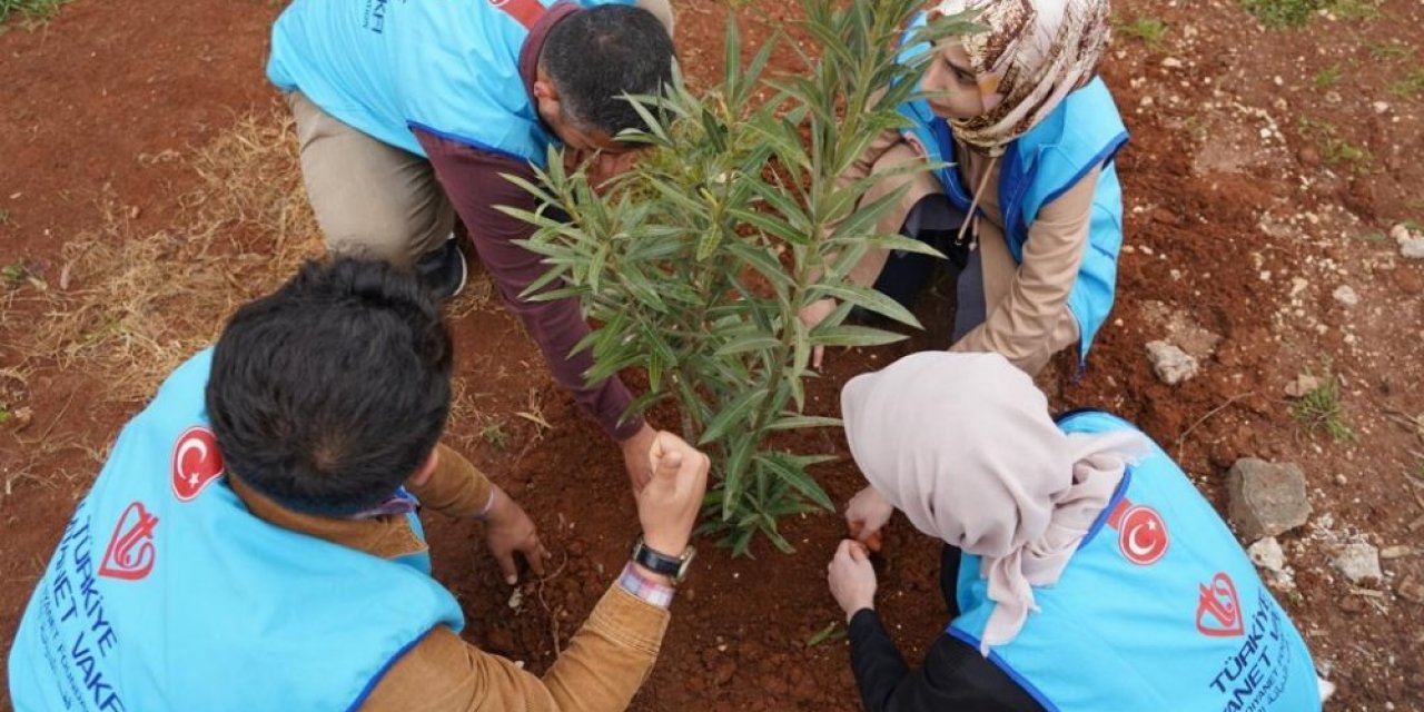 Tdv Gençlik Kollarından İ̇dlib’de Fidan Dikimi Ve Kardeşlik Ziyareti