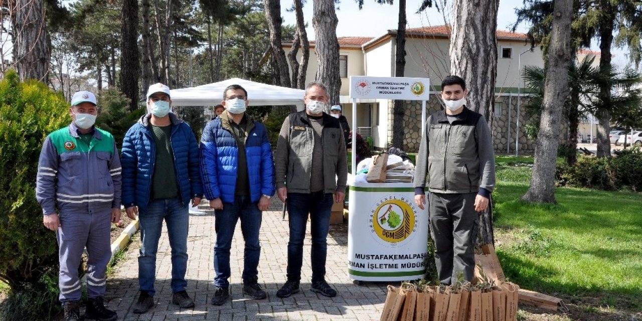 Vatandaşlara Ücretsiz Fidan Dağıtıldı