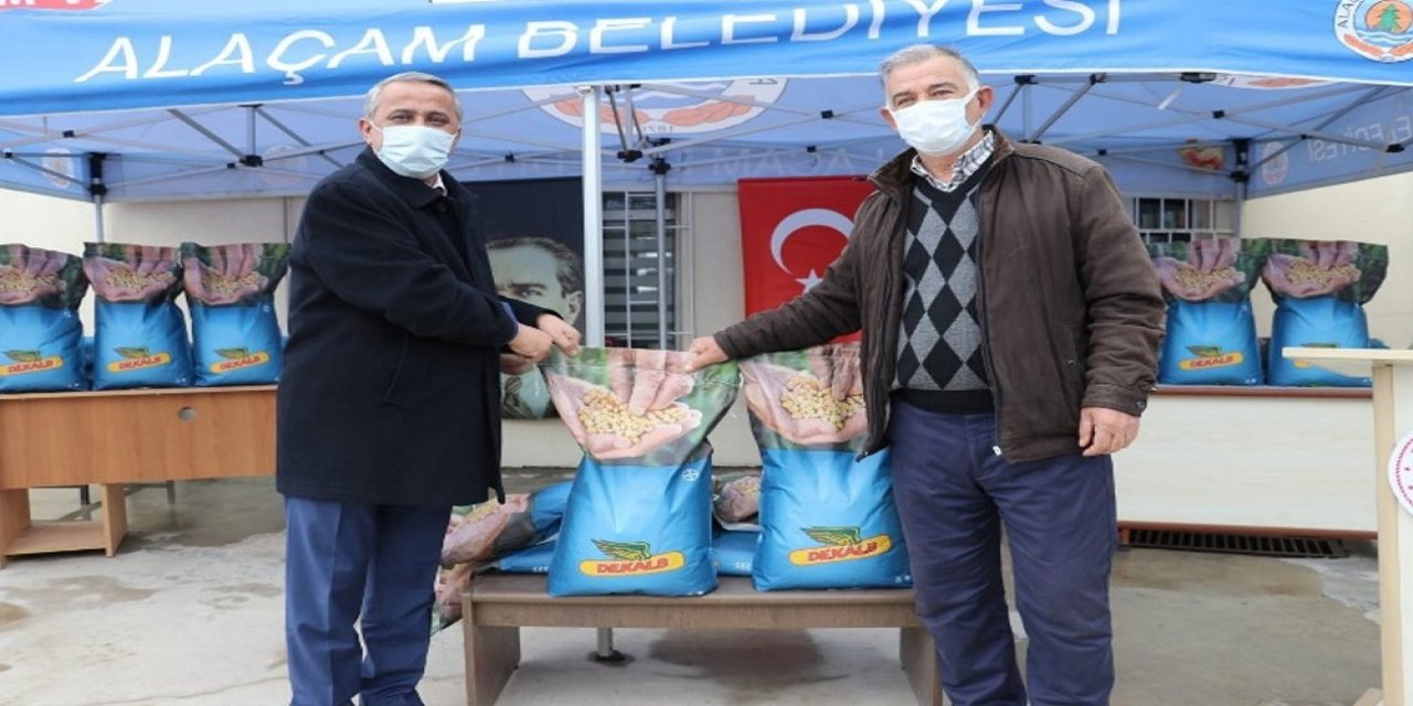Samsun’da Çiftçilere 12 Bin Kilogram Silajlık Mısır Tohumu Hibesi