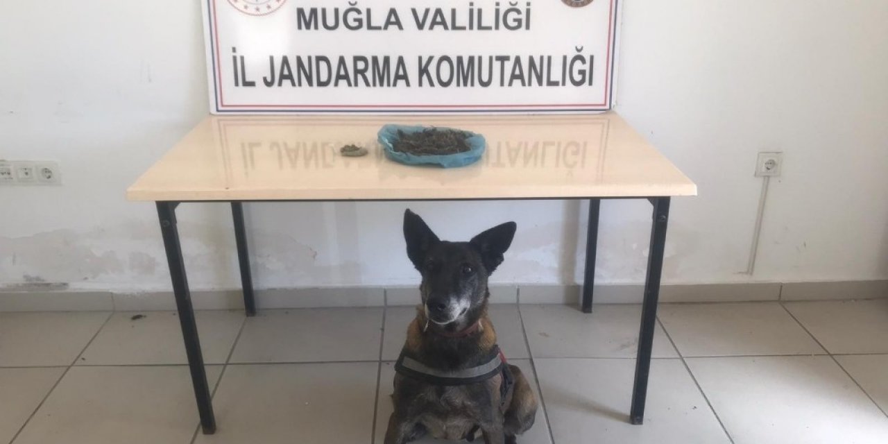 Yolcunun Yastığından Uyuşturucu Çıktı