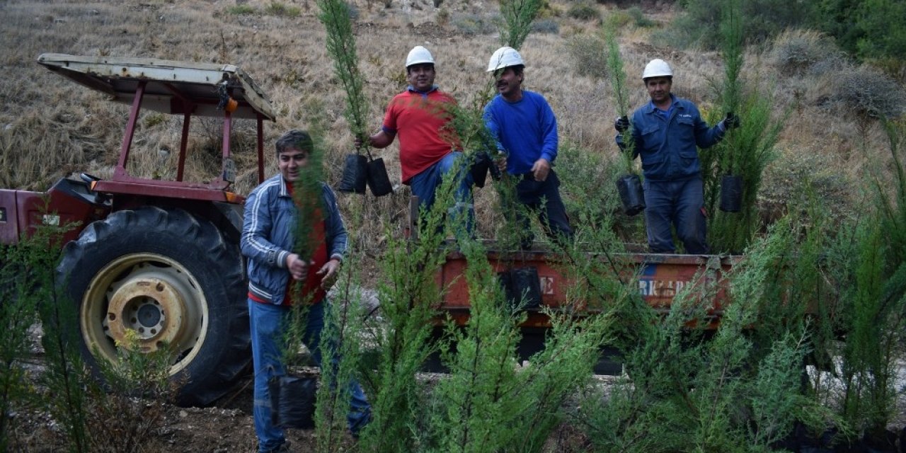 Yk Enerji’den 3 Yılda 1 Milyon Ağaç