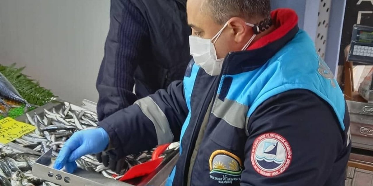 Kırklareli’nde Tezgahlardaki Balık Boyları Denetlendi