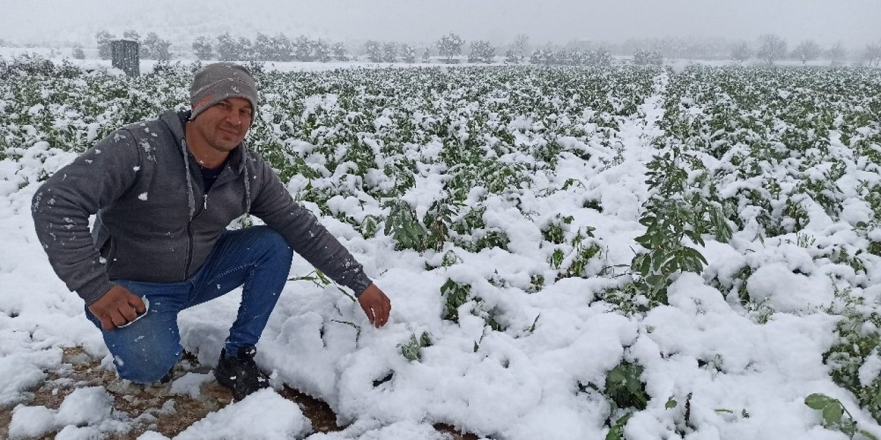Ödemiş Ovası’na Kar Yağdı, Bakla Ve Bezelye Üreticileri Tedirgin
