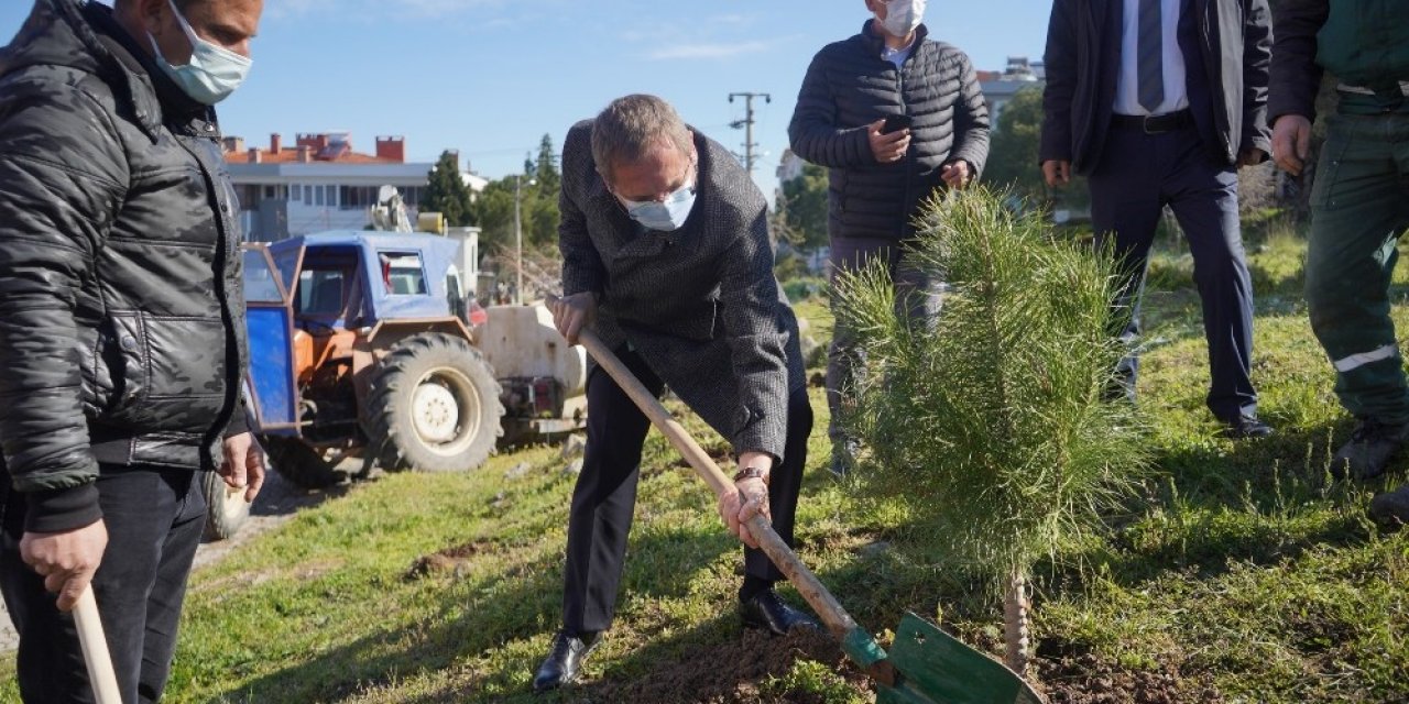 Ayvalık’ta 300 Fidan Toprakla Buluşturuldu