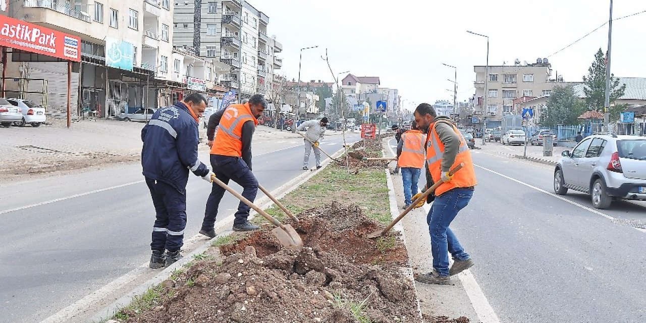 Diyarbakır Büyükşehir Belediyesi, İlçelerde 664 Ağaç Dikti