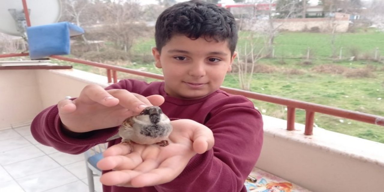 Soğuktan Üşüyen Minik Serçe, Ömer’in Avuçlarında Isındı
