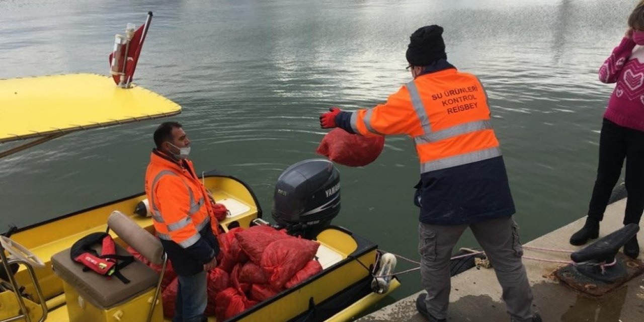 Kaçak Avlanan 700 Kilo Akivades Denize İade Edildi