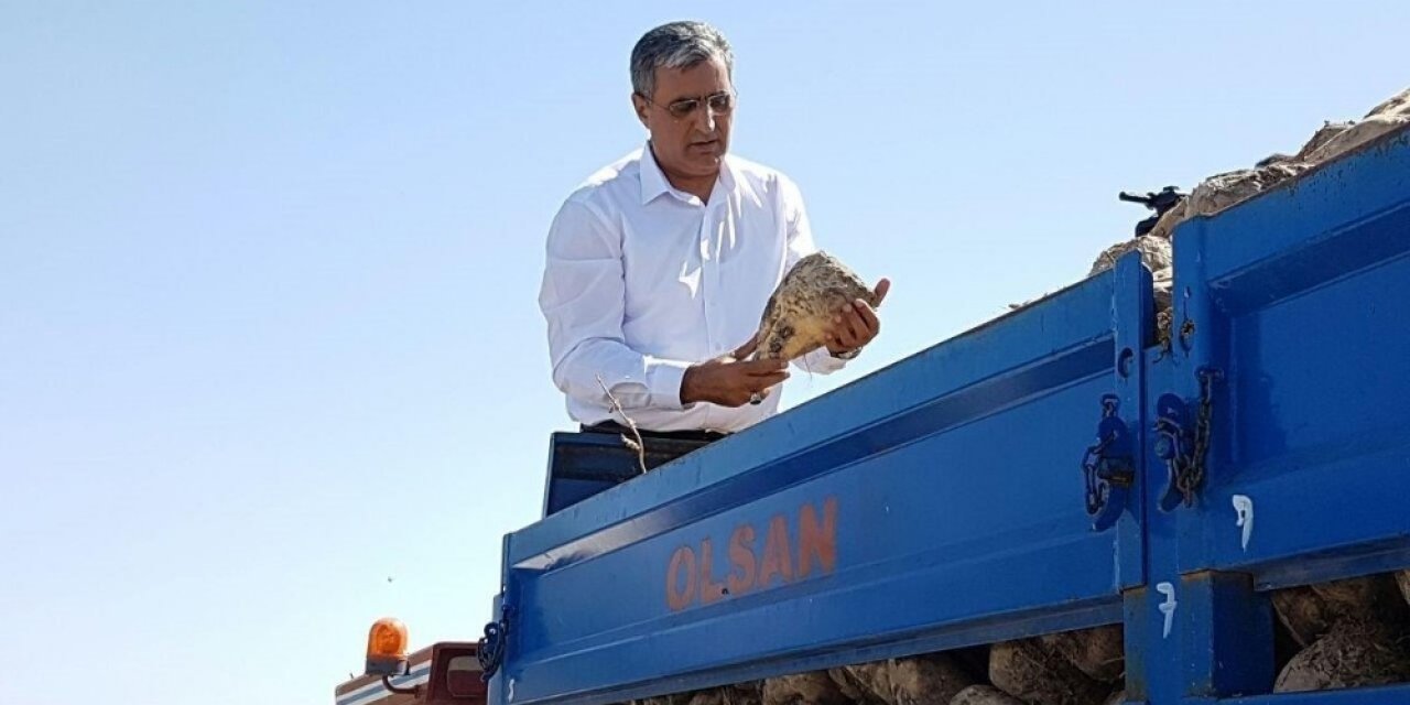 Konya Şeker Pancar Üreticisine 1,4 Milyar Tl’lik Pancar Bedeli Ödedi