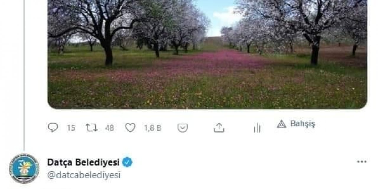 Datça Belediyesi’nin Tweeti 6 Bin Dolara Satıldı