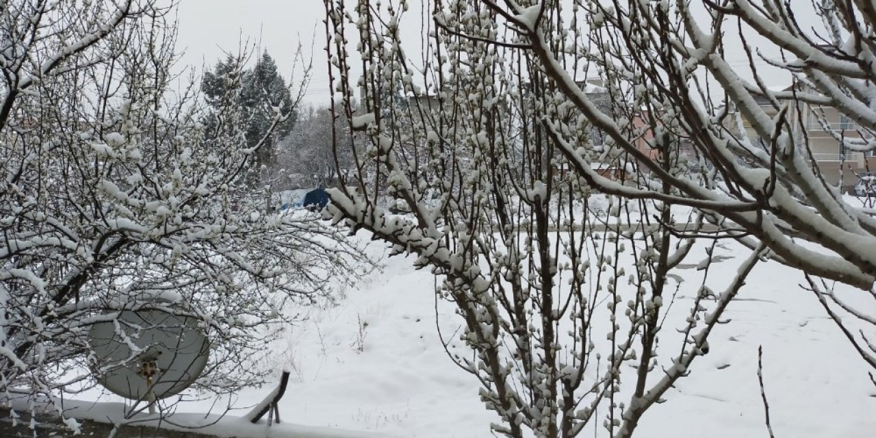 Denizli Ve İlçelerine 2 Günlük Zirai Don Uyarısı