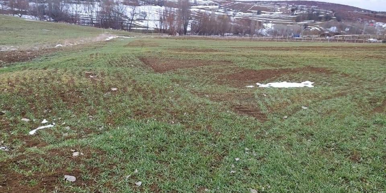 Sungurlu’da Mevsimsel Hastalıklara Karşı Tarım Alanları İnceleniyor