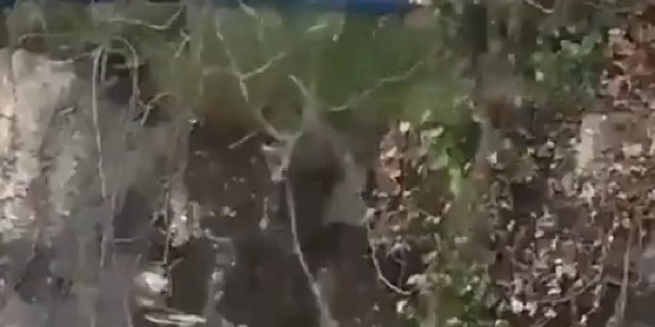 İ̇ntihara Kalkışan Genç Son Anda Kurtarıldı