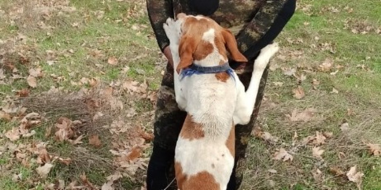 Simav Çayı’nda Mahsur Kalan Köpek Kurtarıldı