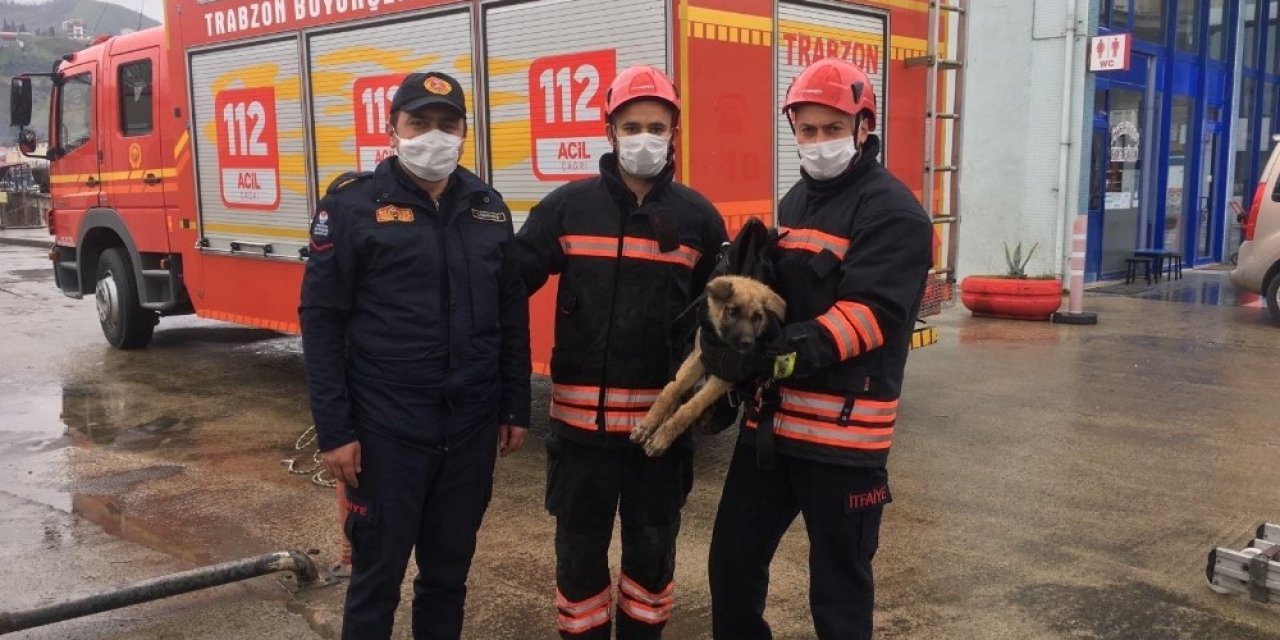 İ̇tfaiye Ekiplerinden Dereden Köpek Kurtarma Operasyonu