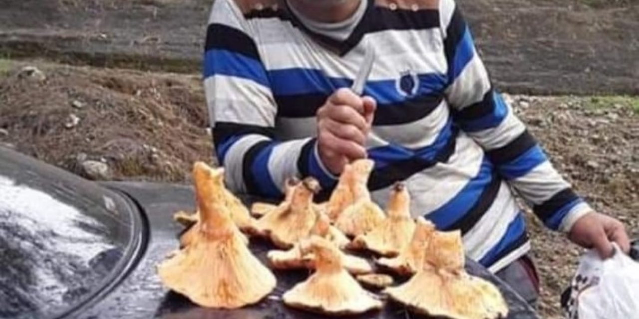 Çiriş Otu Toplamak İçin Dağa Giden Adam Ölü Bulundu