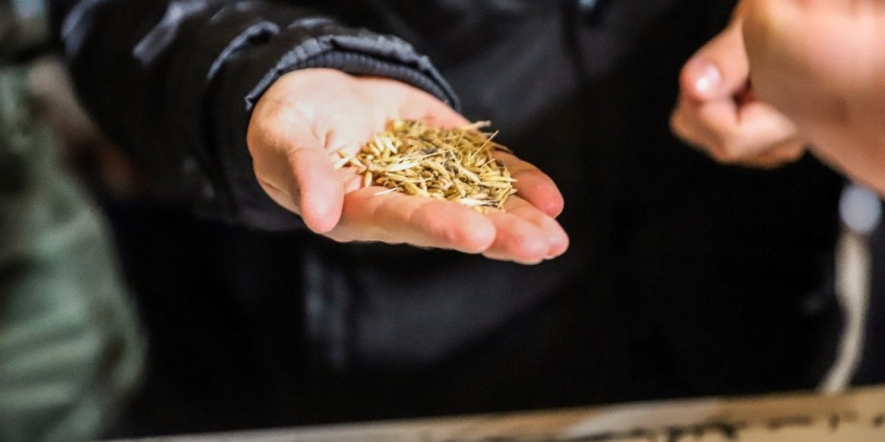 ‘kavılca Buğdayı’ Ülke Ekonomisine Katma Değer Katacak