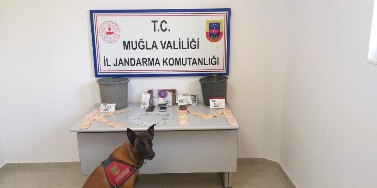 Köyceğiz’de Uyuşturucu Operasyonu