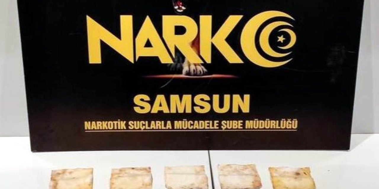 Samsun’da Selülozik Kağıda Emdirilmiş Bonzai Ele Geçti: 1 Gözaltı