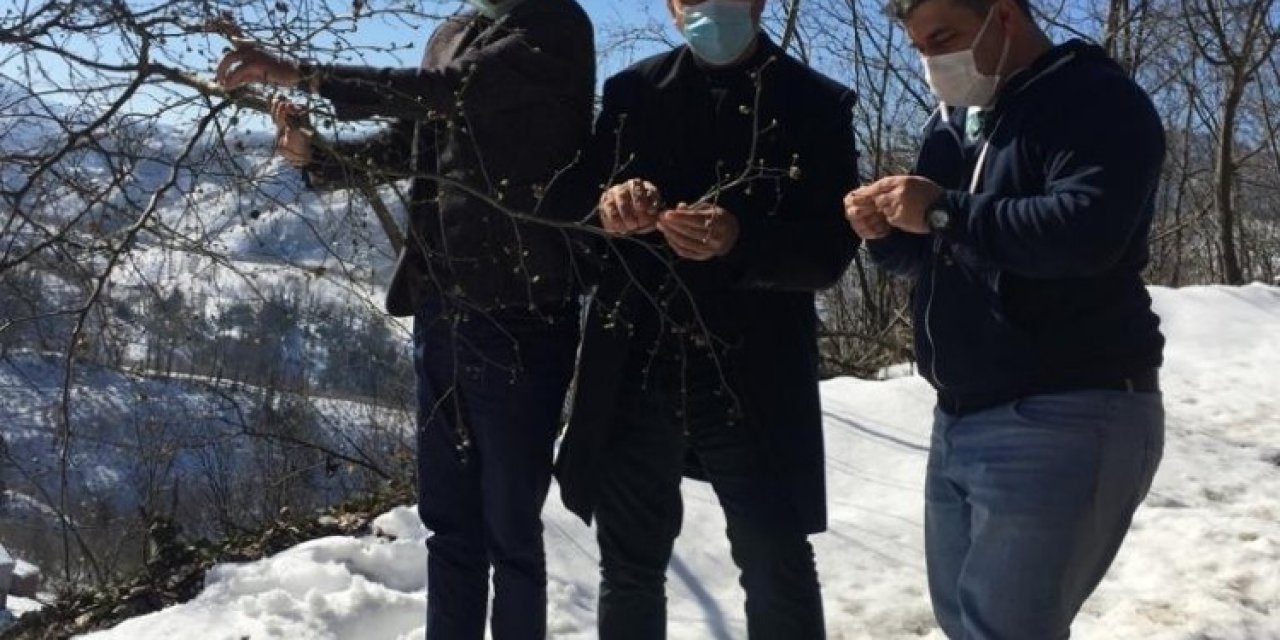 Çiftçinin Korkusu Zirai Don Gerçekleşti