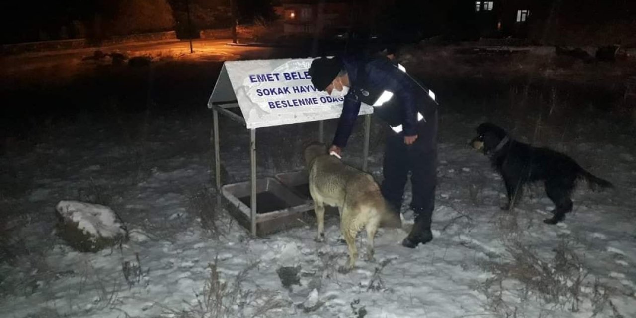 Karantinada Sokak Hayvanları Unutulmadı