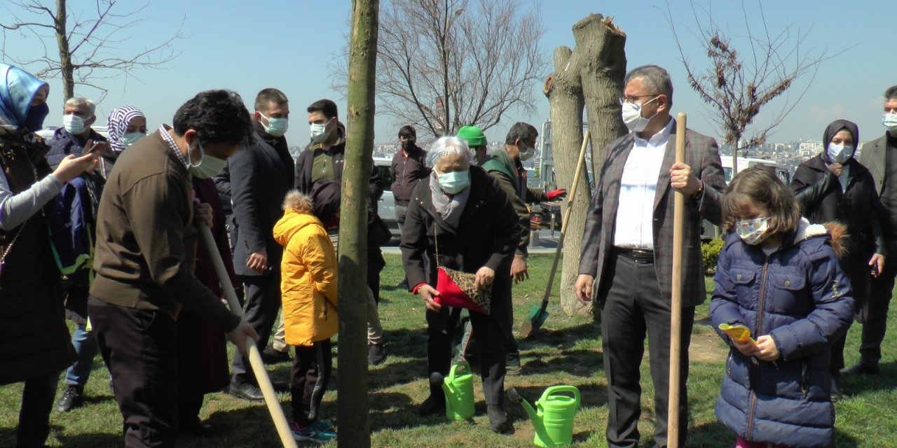 Üsküdar’da Kız Kulesinde Katledilen Ağaçların Yerine Yenileri Dikildi