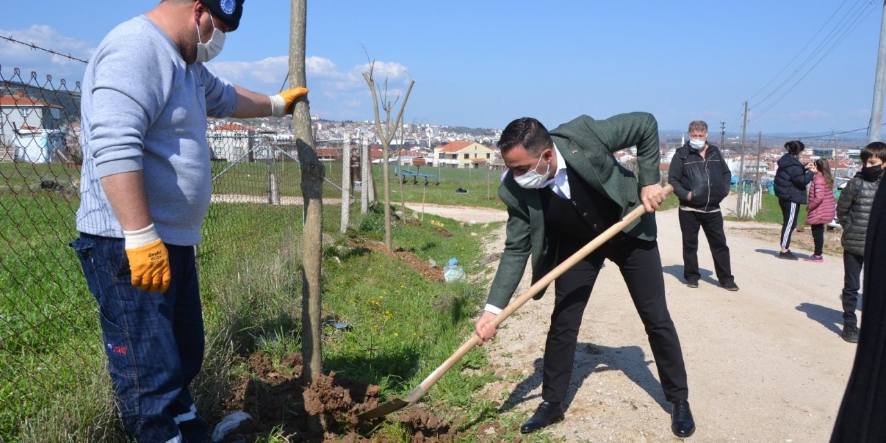 Biga Yeniceköy Mahallesi Ağaçlandırıldı