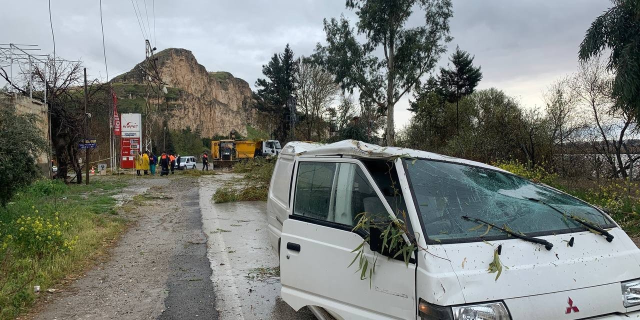 Fırtınada Devrilen Ağaçlar Araçlara Zarar Verdi