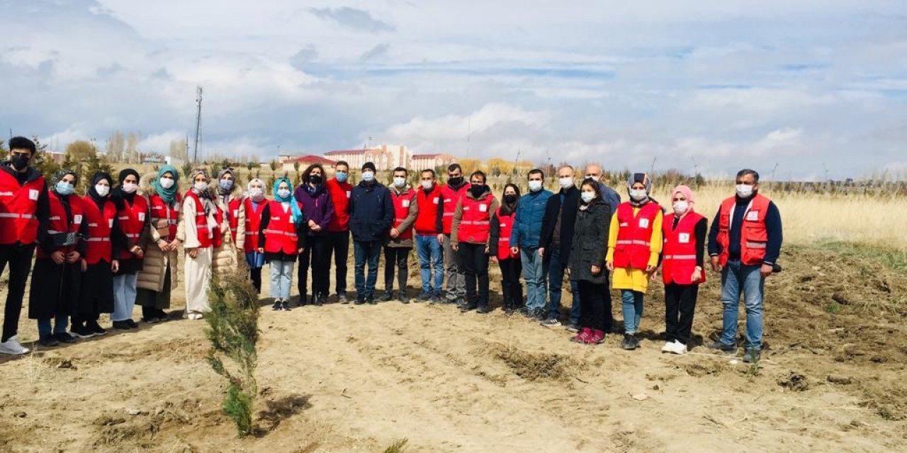 Van’da Fidan Dikimi