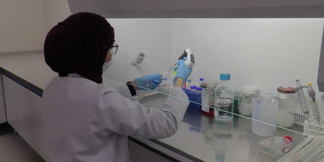 Erfarma’da Virüs Üzerinde Etkili Olabilecek İlaç Araştırmaları Devam Ediyor