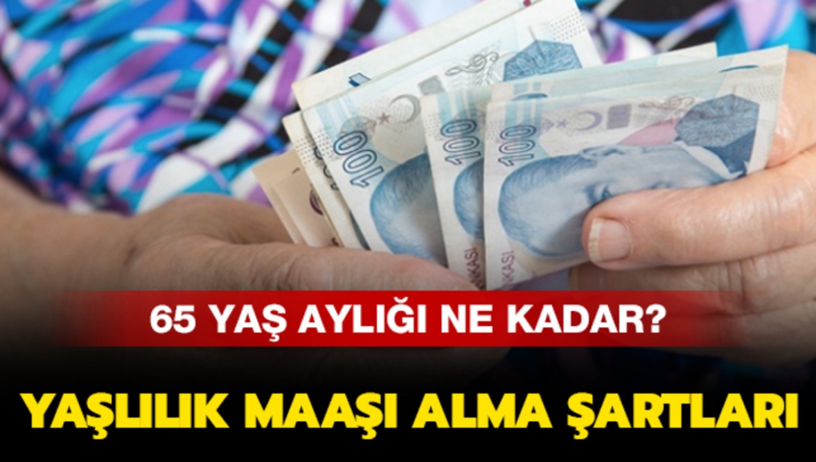 Devlet 672 TL maaşı hemen bağlıyor! O kişiler nasıl başvuru yapabilir?