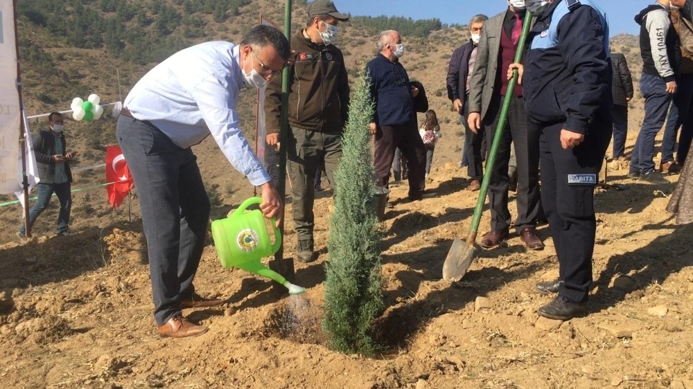 Gelecek için fidan diktiler