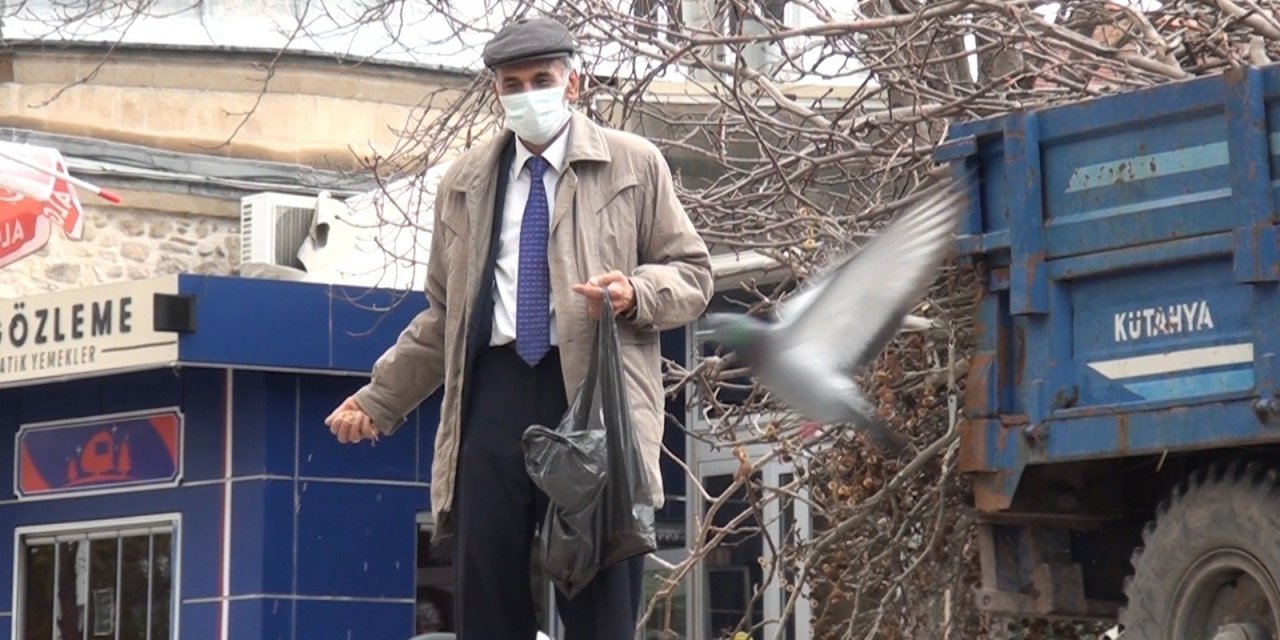 Emekli Vatandaş, Her Gün Yüzlerce Güvercine Yem Veriyor