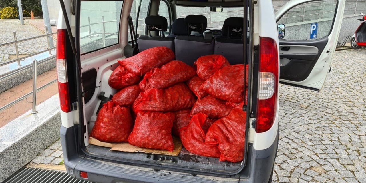 İ̇zmir’de Kaçak Yollarla Avlanan 400 Kilogram Midye Denize Bırakıldı