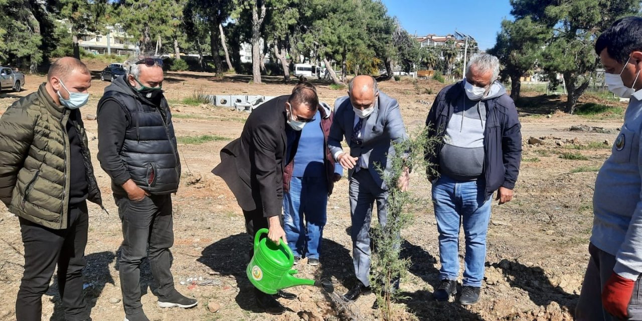 Gazeteciler 250 Adet Fidanı Toprakla Buluşturdu