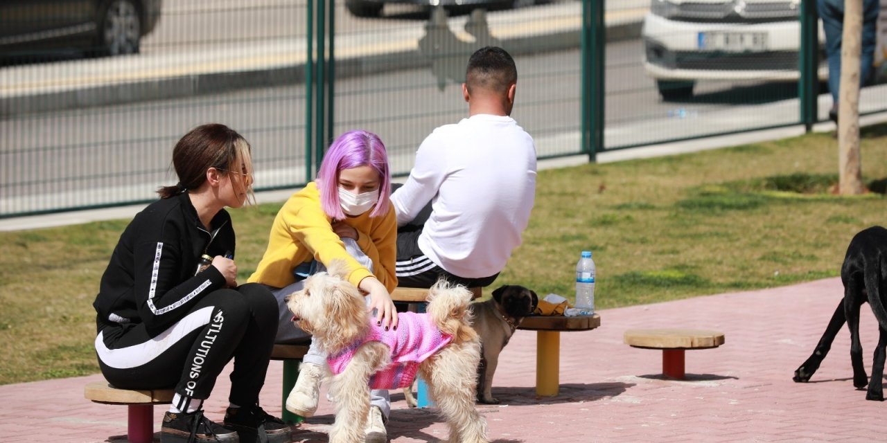 Şehitkamil’de Hayvanlar İçin Özel Park