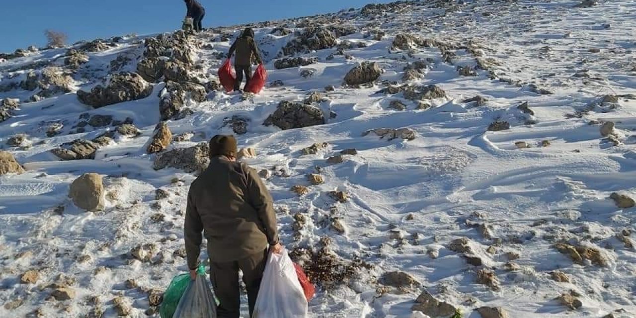 Yabani Hayvanlar İçin Nemrut Dağına Yem Bırakıldı