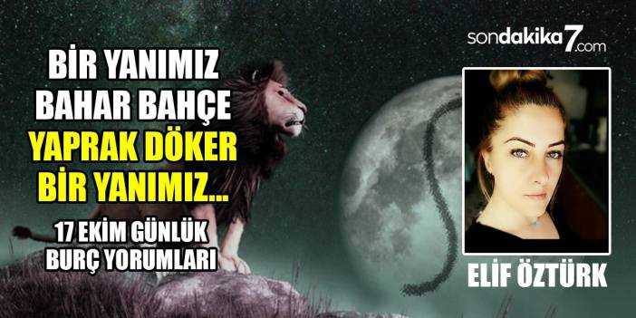 17 Ekim Günlük Burç Yorumları: Para, Kariyer, İş, Yatırım.. Koç, Aslan, Akrep, Terazi, Yengeç, Yay, Bir yanımız bahar bahçe...