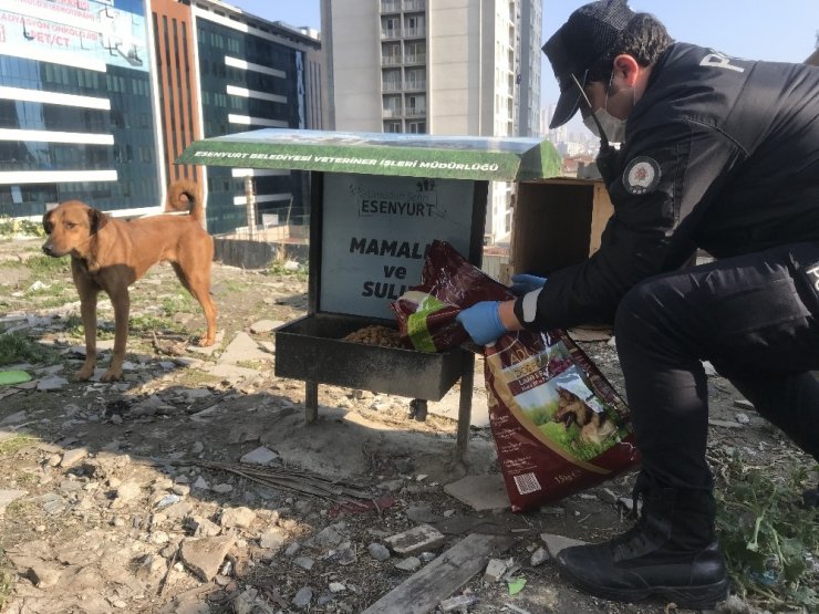 Esenyurt’ta Kısıtlamada Polisten Örnek Davranış