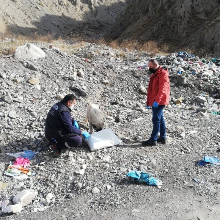 Sokağa Çıkma Yasağında Da Can Dostlar Unutulmadı