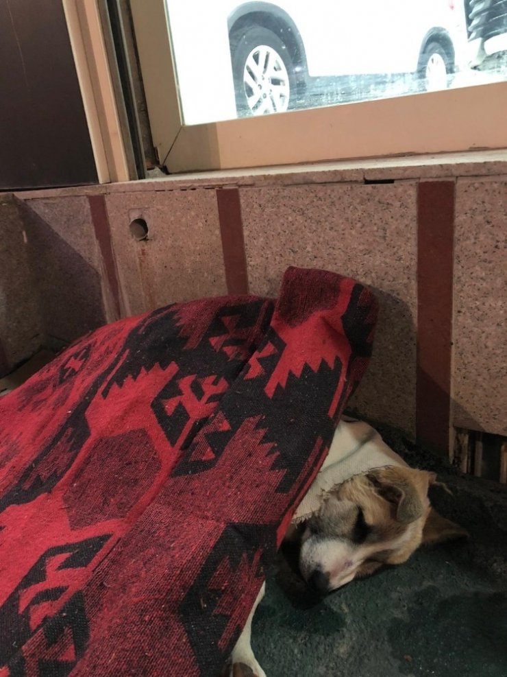 Yüksekova’da Yürekleri Isıtan Görüntü