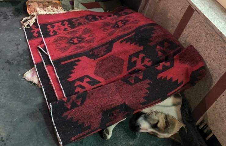 Yüksekova’da Yürekleri Isıtan Görüntü