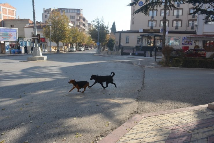 Merzifon’da Cadde Ve Sokaklar Sessizliğe Büründü
