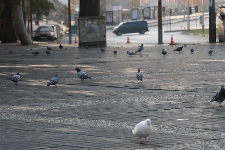 Kahramanmaraş Sokaklarında Sessizlik Hakim