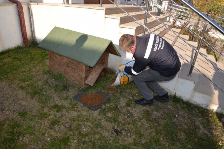 Sokağa Çıkma Kısıtlamasında Sokak Hayvanları Unutulmadı