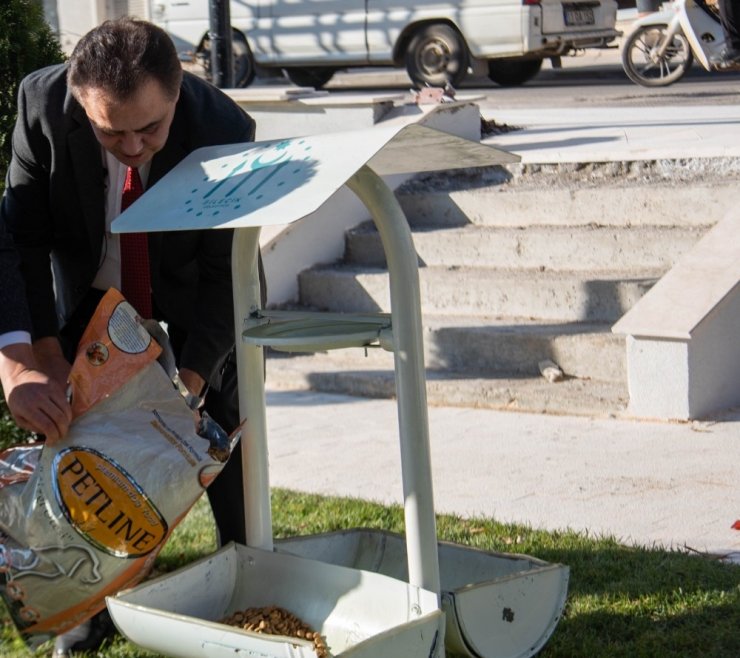Sokağa Çıkma Kısıtlamasında Sokak Hayvanları Unutulmadı