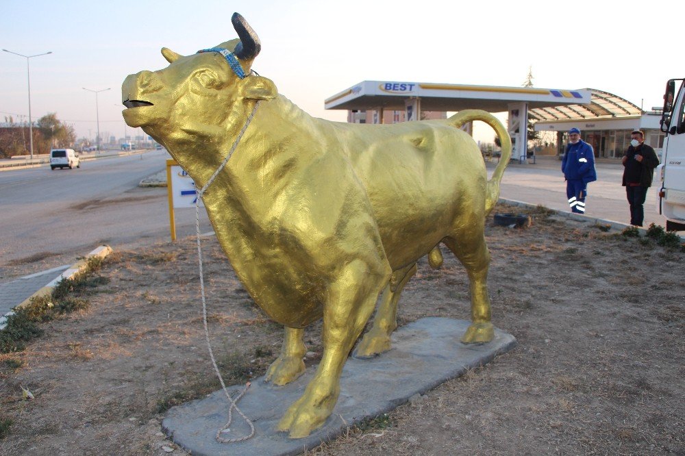 ‘charging Bull’a Amasya’dan Yeni Rakip
