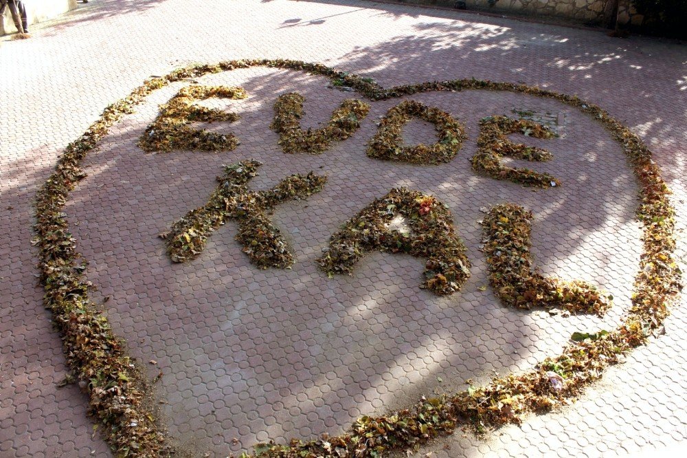 Sonbahar Yapraklarıyla ’evde Kal’ Yazdılar