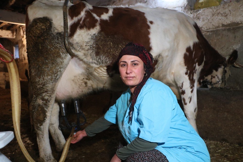 Asgari Ücretle Çalışmak Yerine Kendi İşinin Patronu Oldu