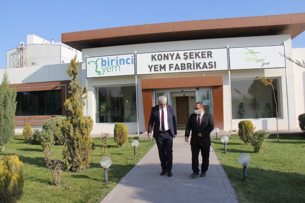 Konya Şeker Mısır Üreticisinin Yüzünü Güldürüyor