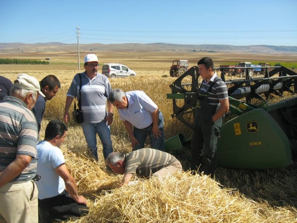 Tarımsal Üretimdeki Önlenebilir Kayıplar, Türkiye’nin Ekmek İhtiyacını Karşılayacak Düzeyde